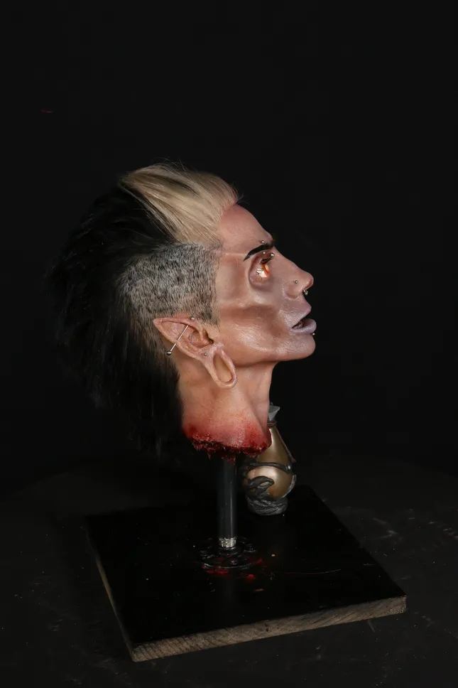 Project image