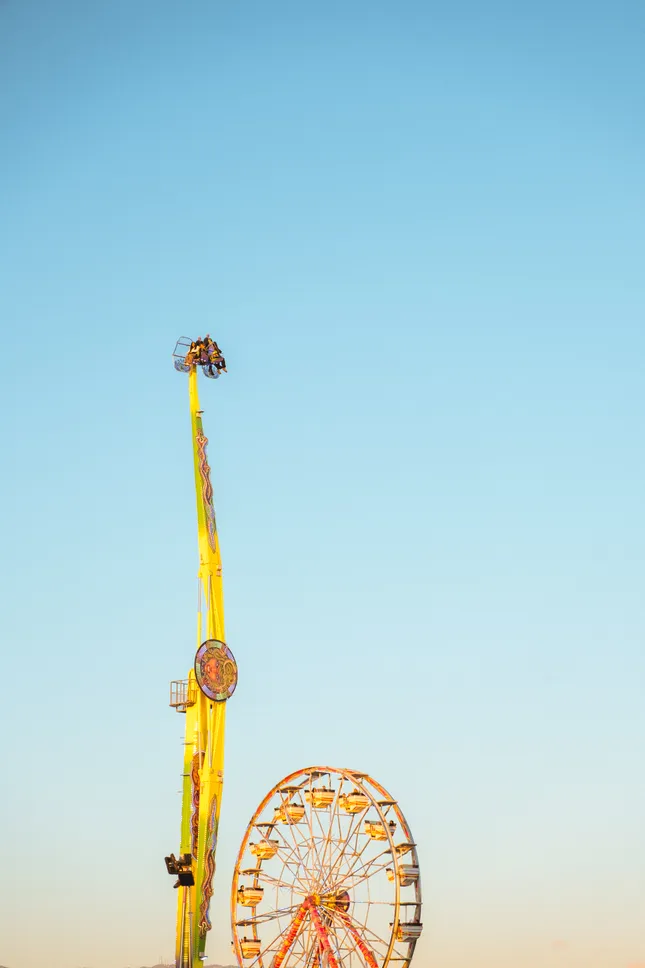 Camp Flog Gnaw