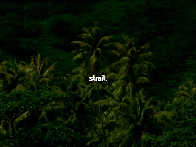 STRAIT the label - SS24