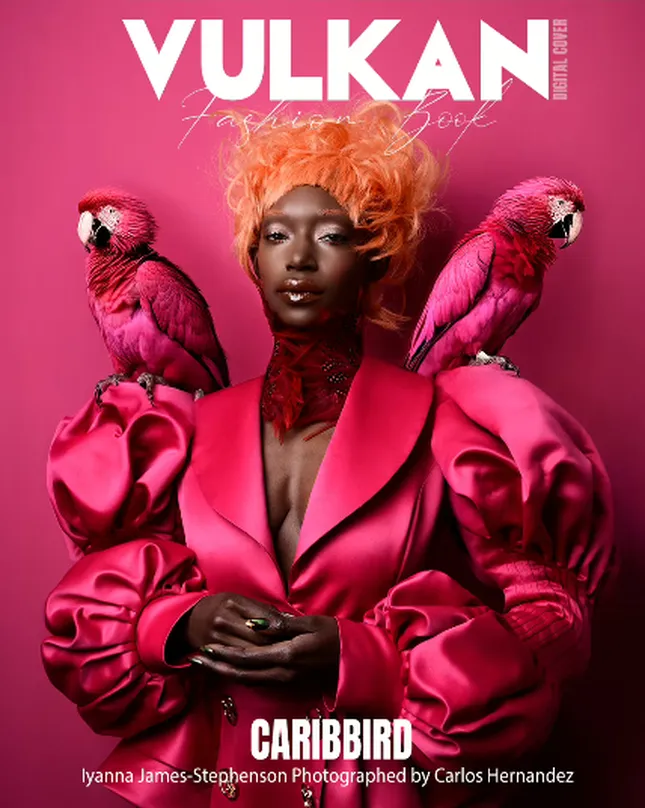 Vulkan Magazine - Caribbird