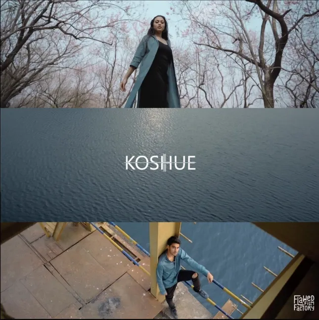 Koshue