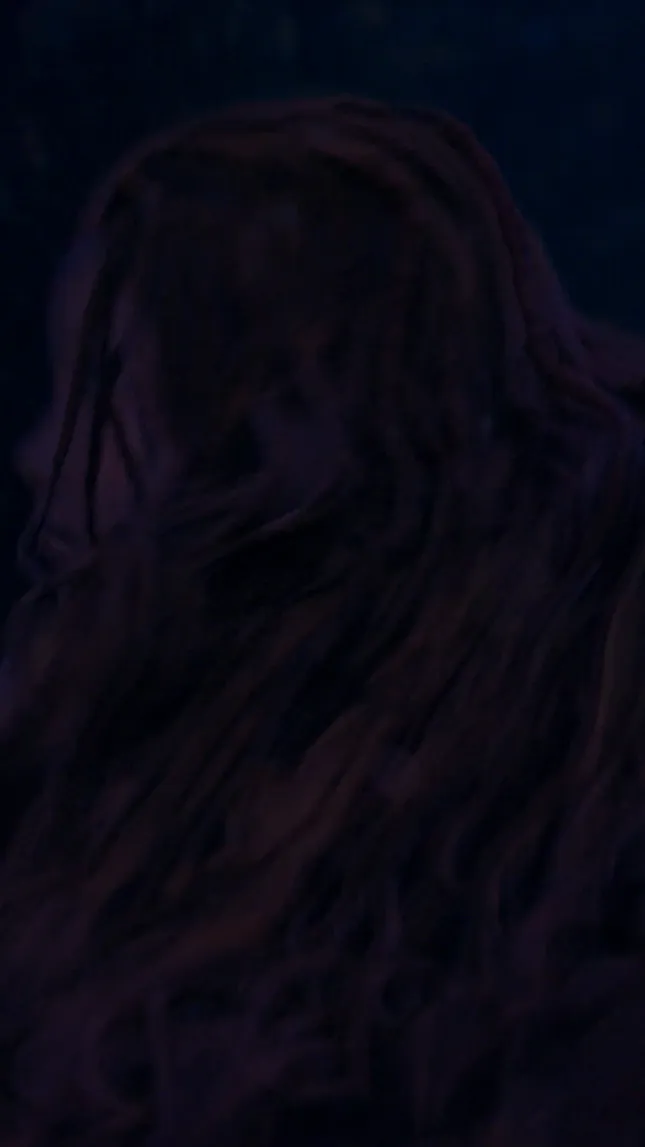 The Little Mermaid