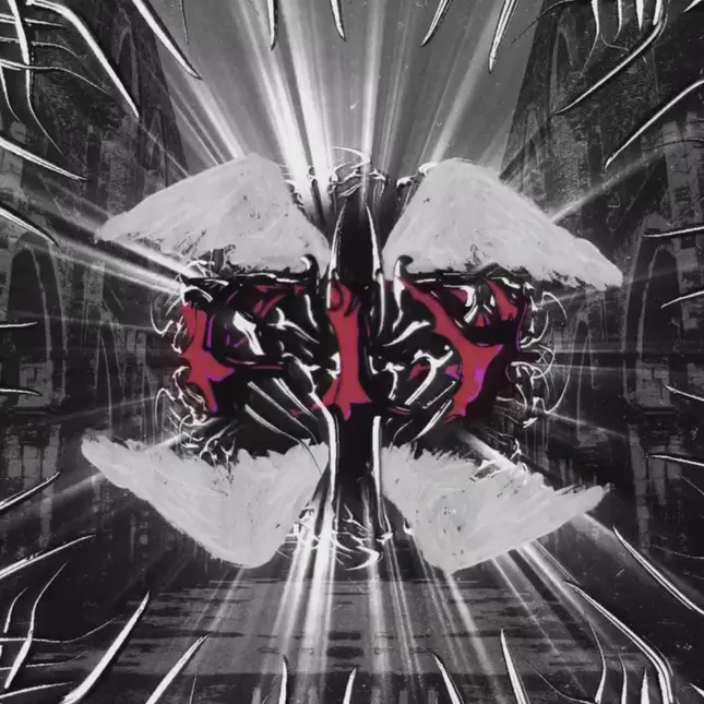 Clue P Visuals