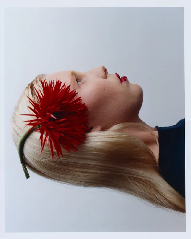 Soft Matter Beauty Project