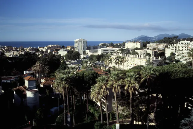 Cannes & Beaujolais on 35mm