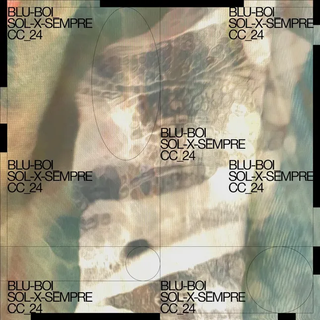 BLU-BOI_SOL X SEMPRE