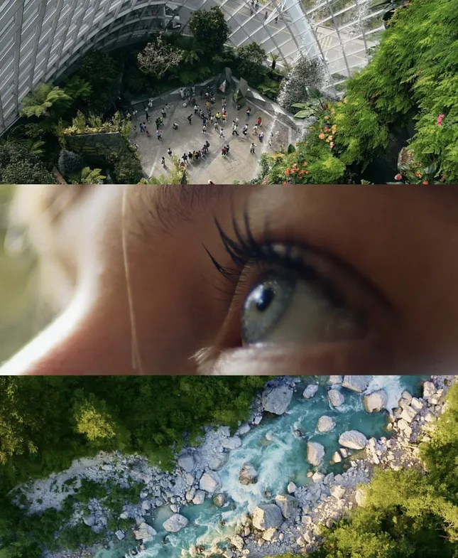 The Earth Project