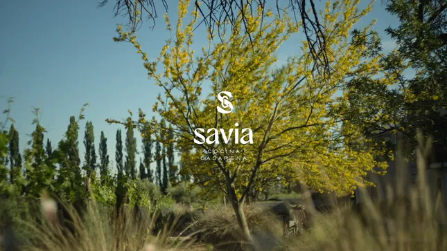 Savia Casarena