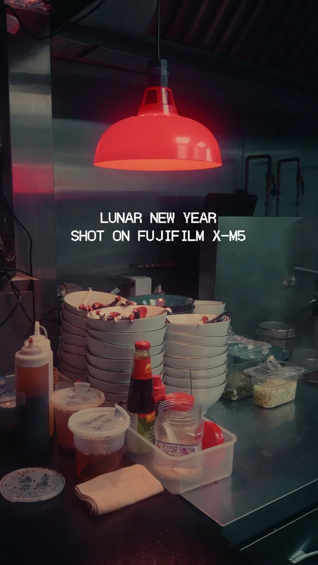Lunar New Year 2025