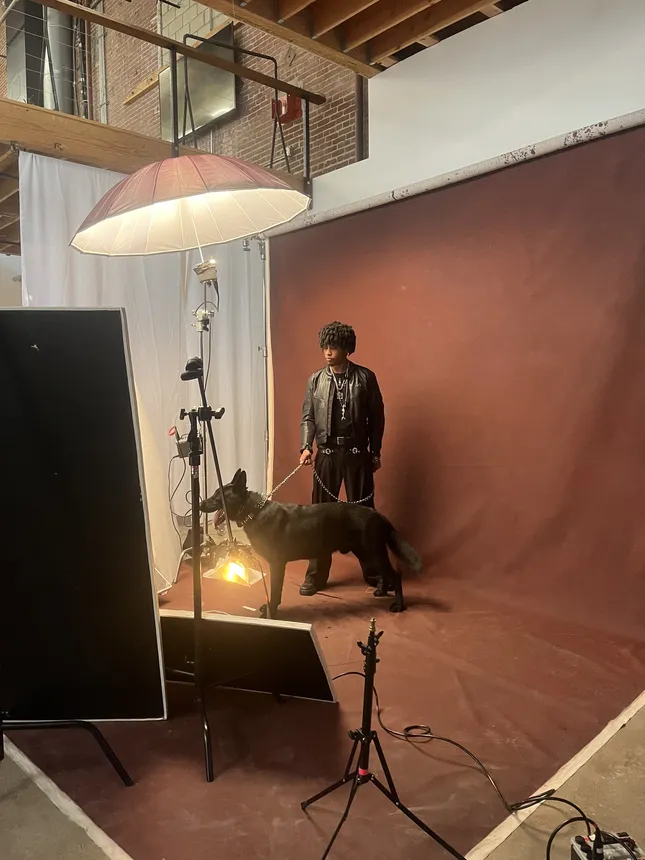 Project image