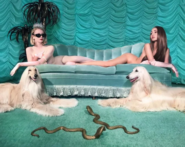 NADIA LEE COHEN x ZIZI DONOHOE