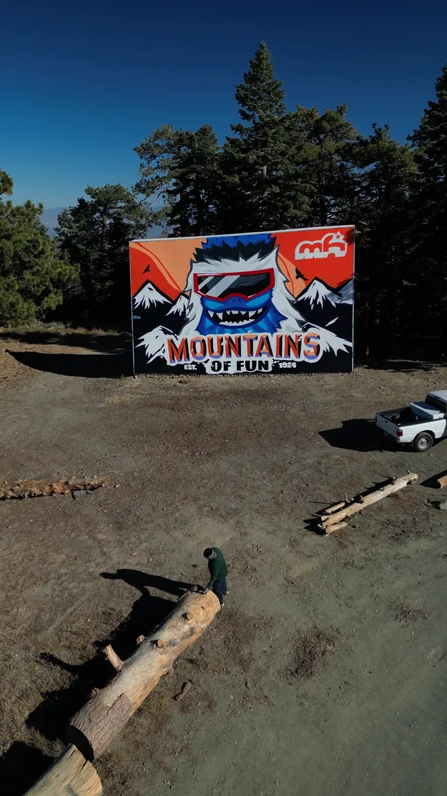 Large scale mural installation