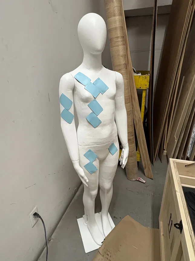 Project image