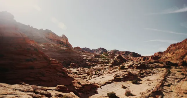 2024 Demo reel