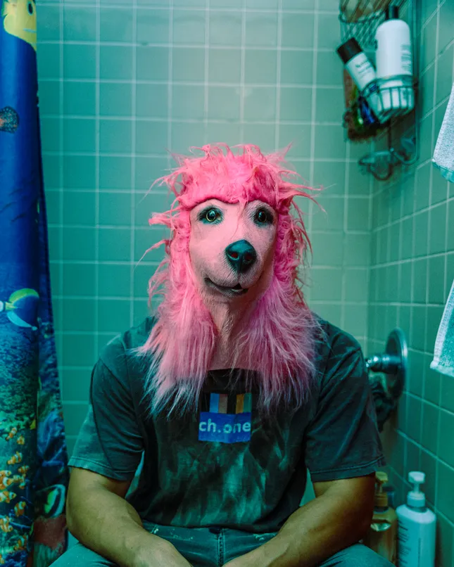 Pink Poodle Series (2024)