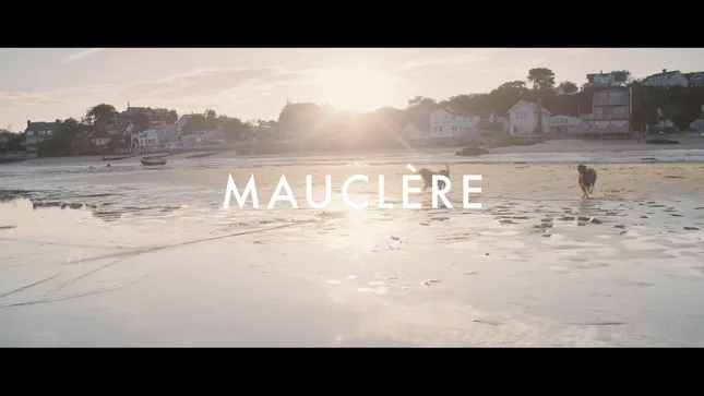 Mauclere Leather