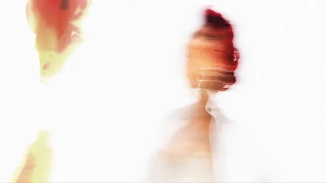 RAYE: Body Dysmorphia Visualizer