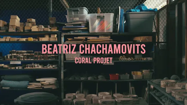 Beatriz Chachamovits (short documentary)