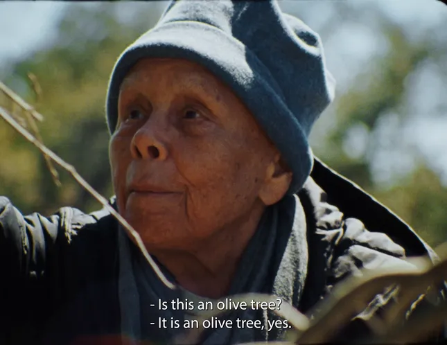 Betye Saar: Drifting Toward Twilight