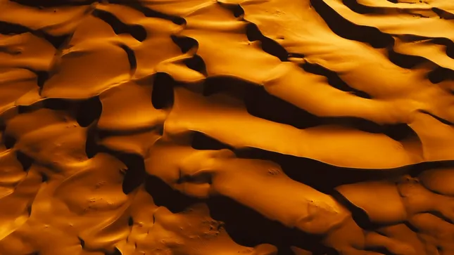 “NOT A TOY” SELECTS