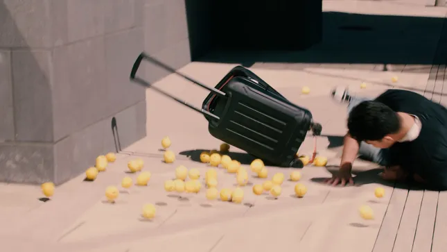 Lemons
