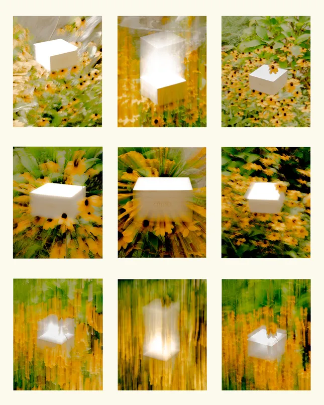Project image