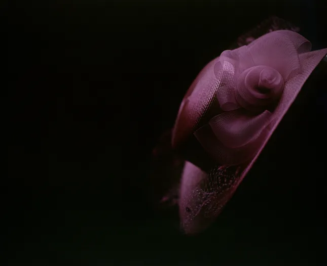 Original Work - “Elegance In The AMEN”