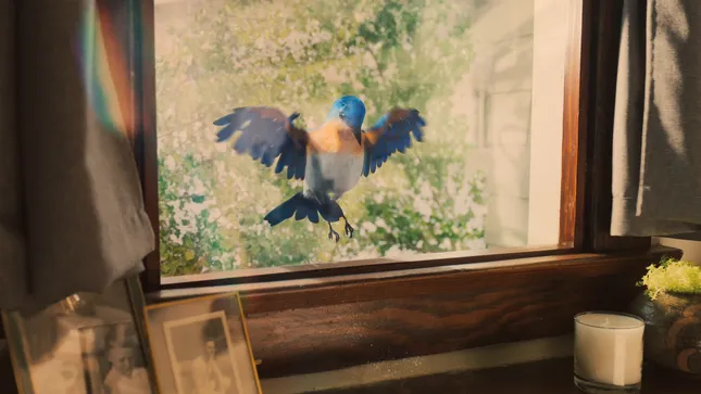 Joybird - TV Spot