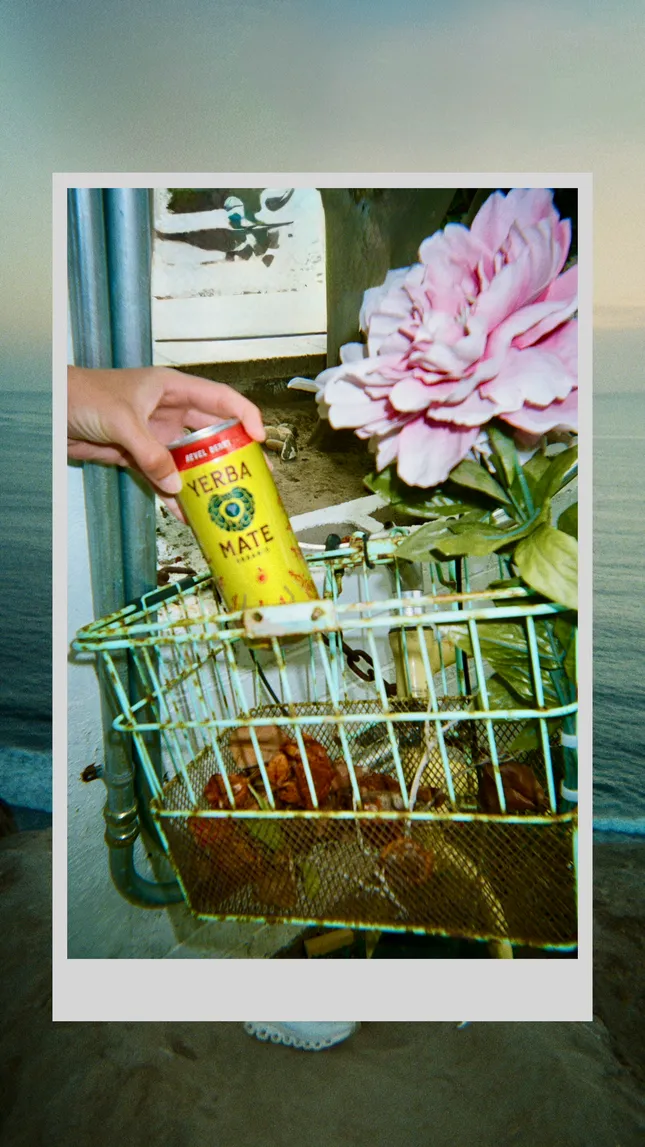 Yerba Mate - Commercial