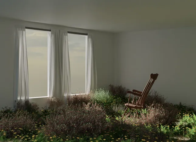 Project image