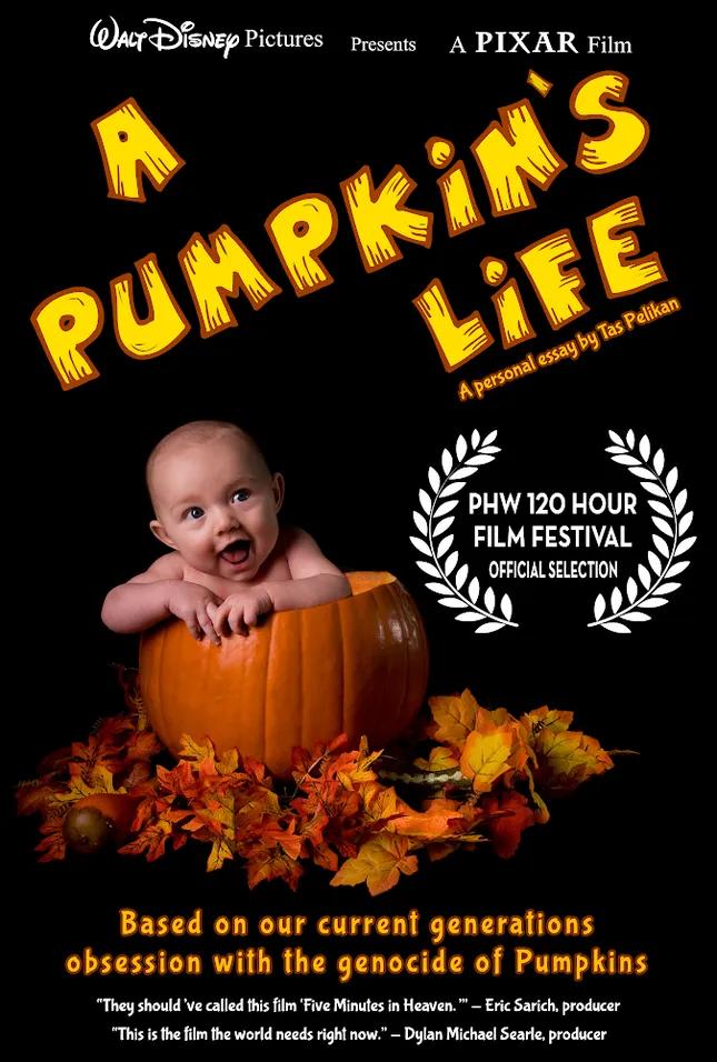 A Pumpkin’s Life