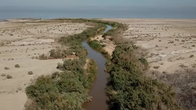 The Drying Salton Sea