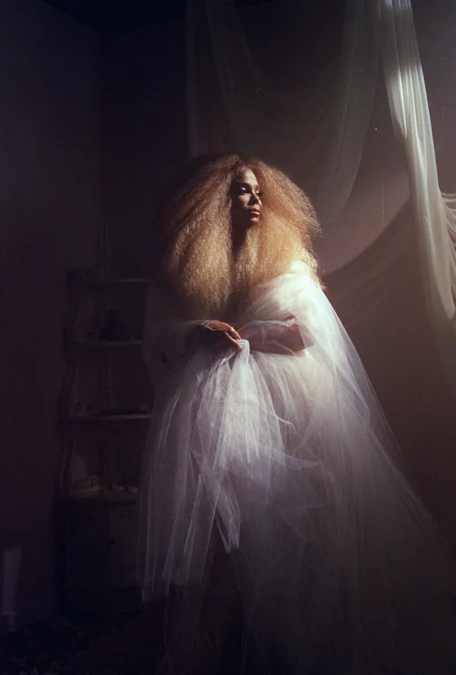 Janet Jackson - Metamorphosis Residency Narratives