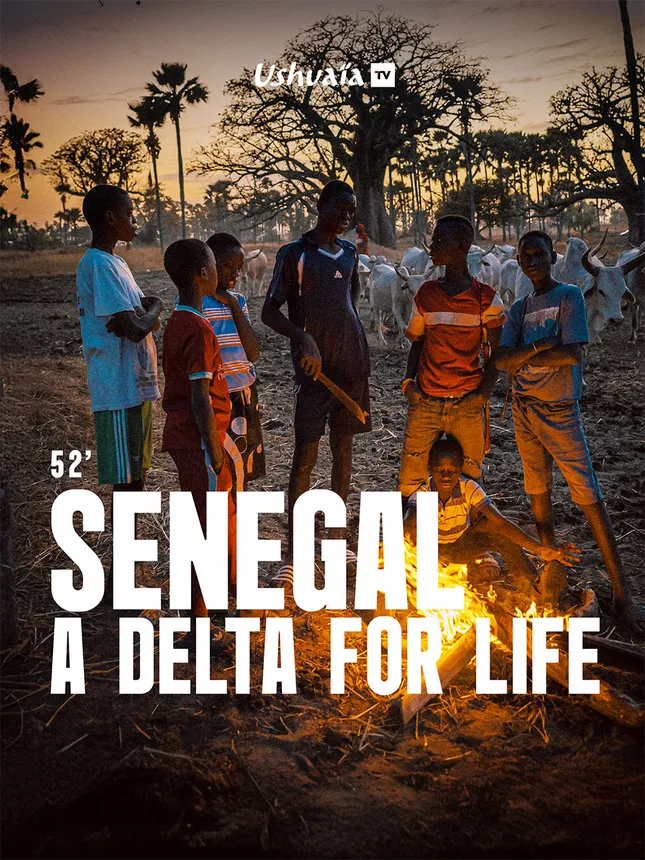 TV Doc Film - Sénégal