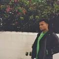 BF  Avatar