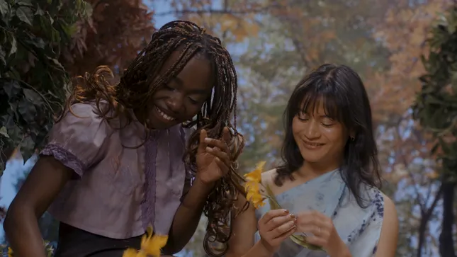 Dream Weaver: A ByePhoebe Collection