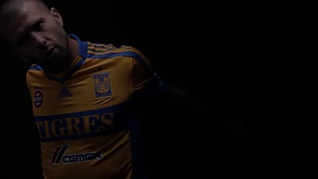 Tigres Alineación 2013