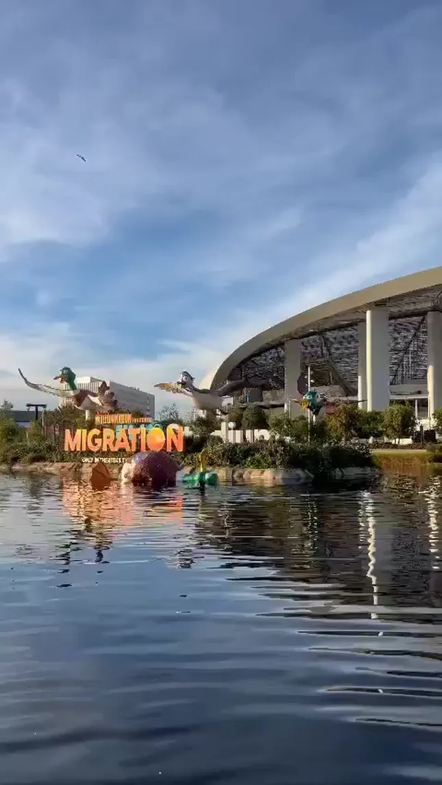 MIGRATION