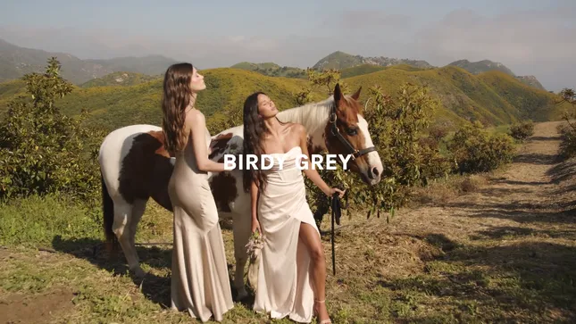 Birdy Grey - 2024 Reel