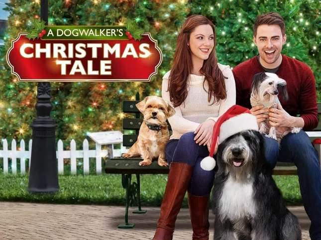 A Dogwalker’s Christmas Tale