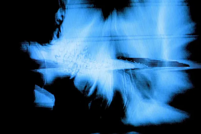 My own mistakes /  elevation 001