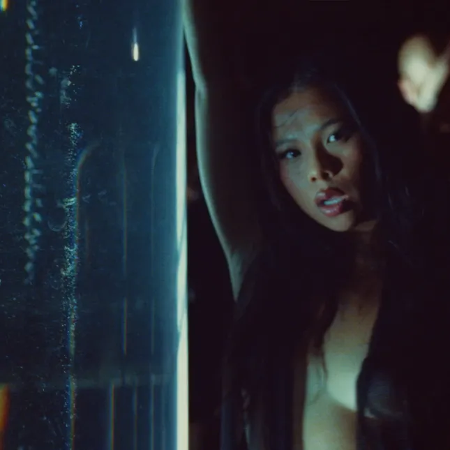 don’t miss me too much music video