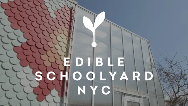 Edible Schoolyard NYC