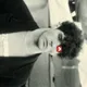 JB  Avatar