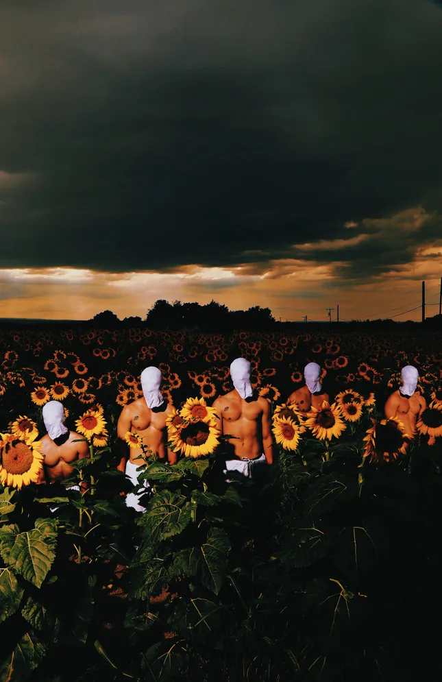 Chirps in sunflowers