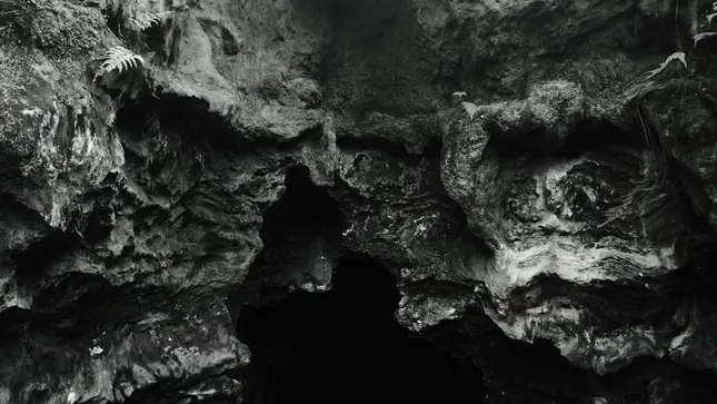 ROZET / social teaser