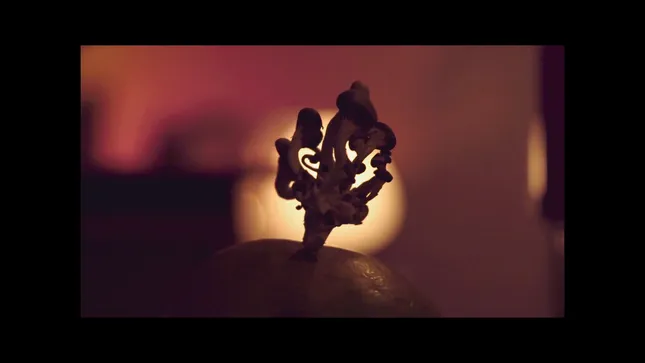 Hommecoming: Creative Alchemy