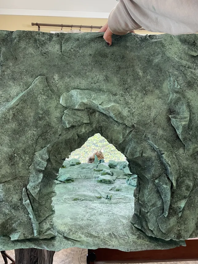Project image