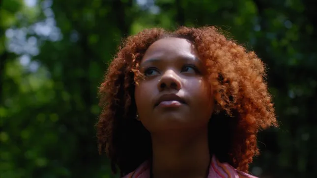 Director | Cinematographer Reel