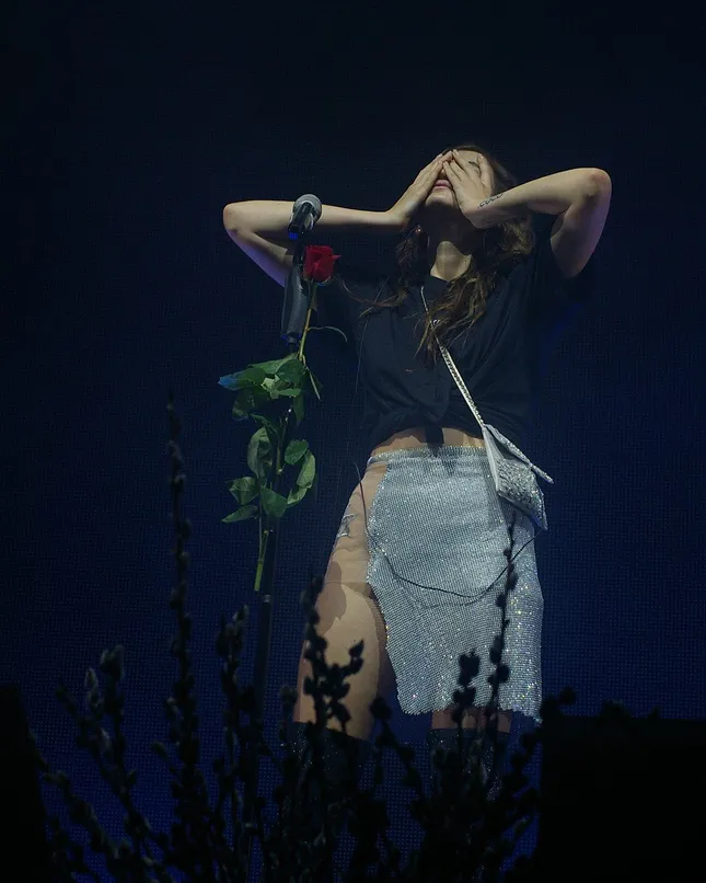 Concert Costume Designer. Personal Stylist